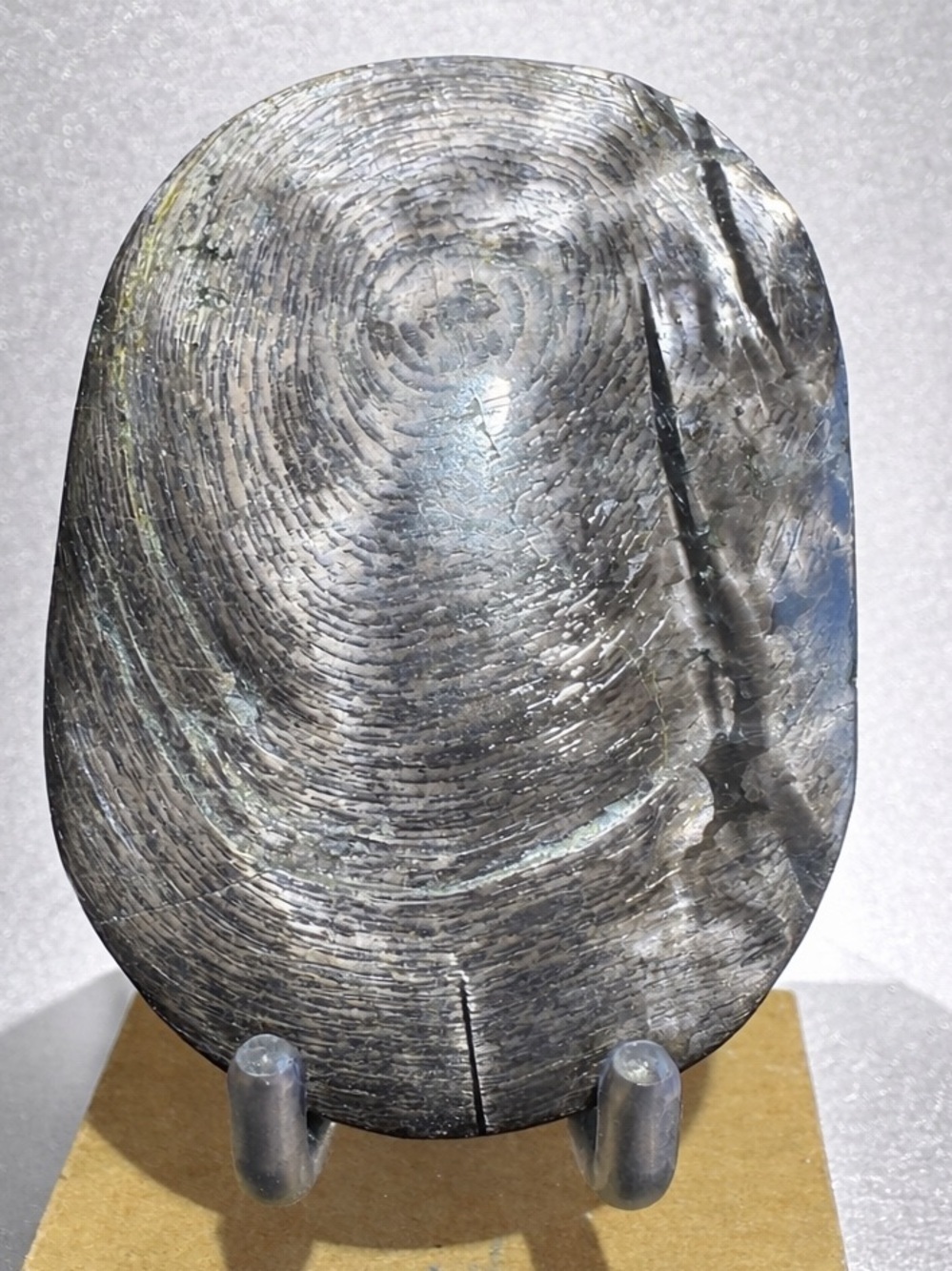 Hypersthene Palm Stone